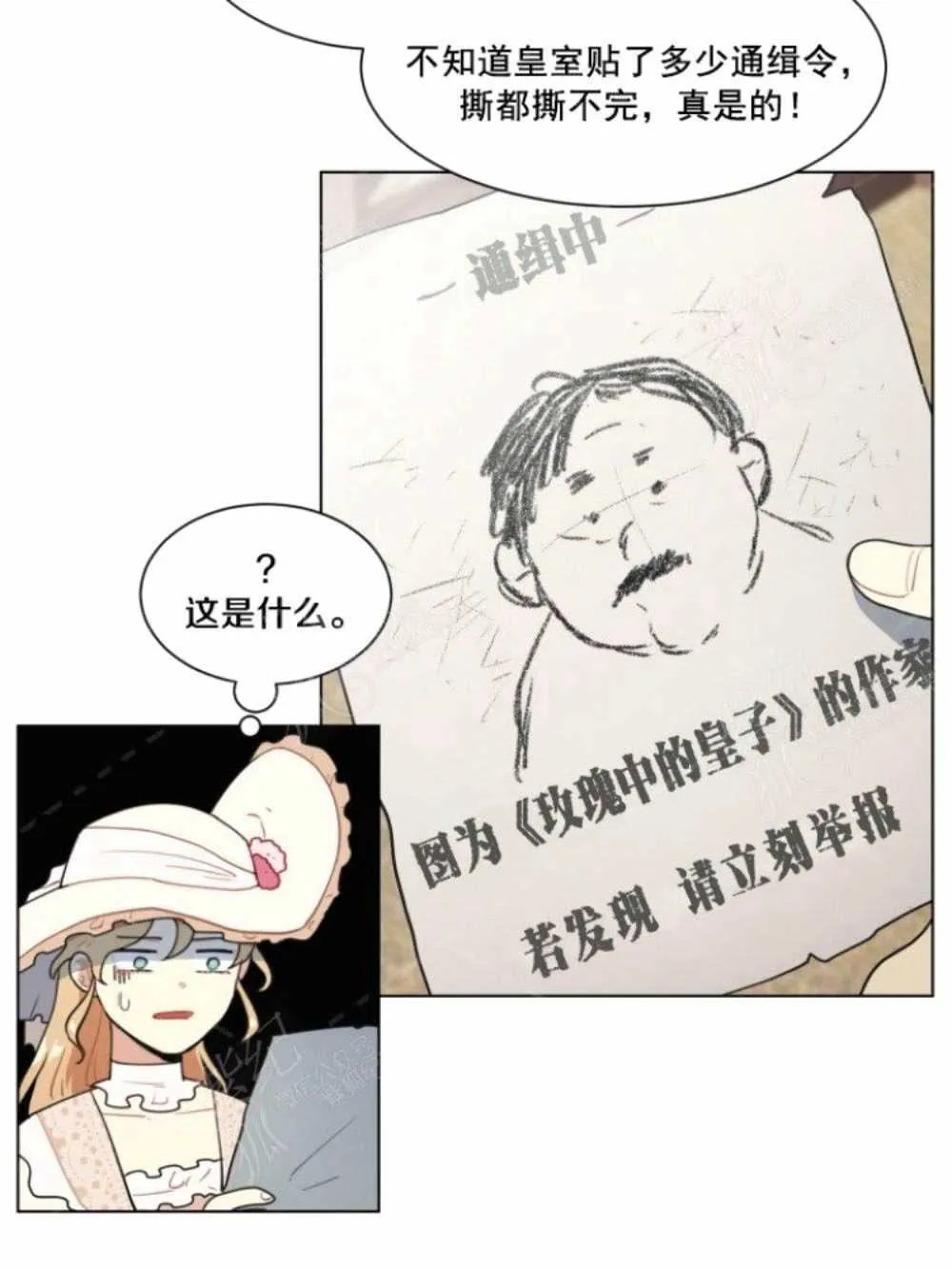 第204页