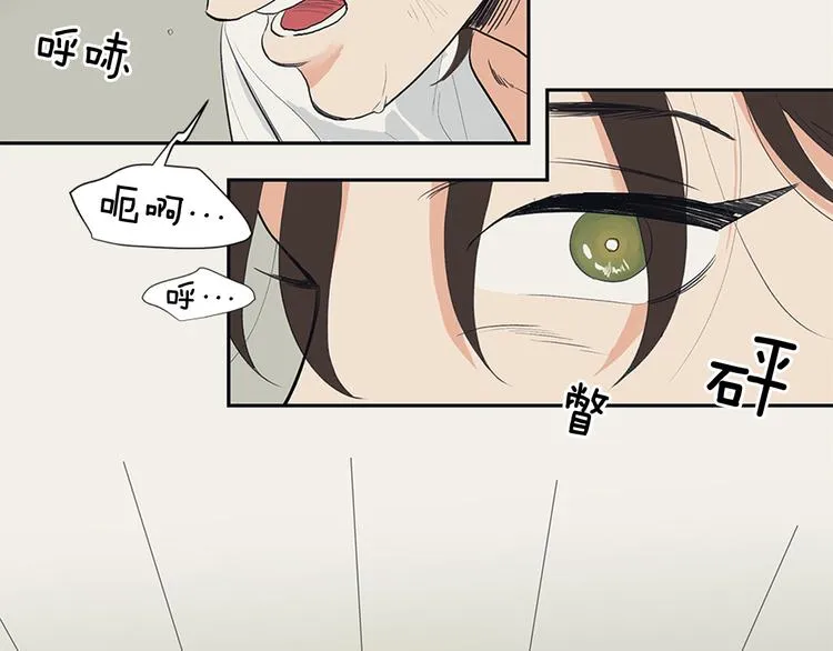 第381页
