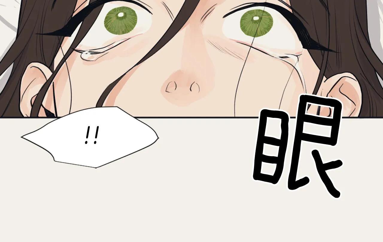第219页