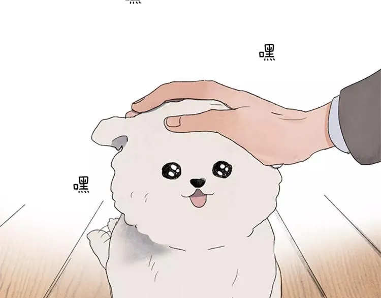 第231页