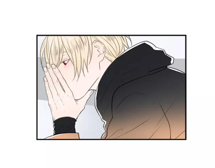 第237页