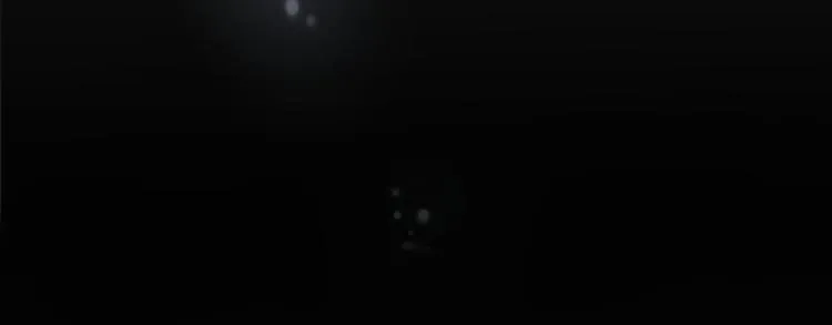 第267页