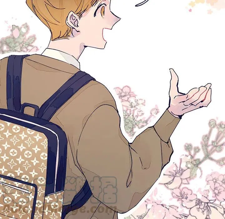 第207页