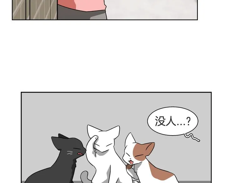 第393页