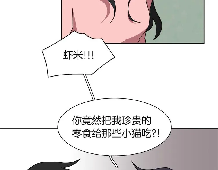 第243页