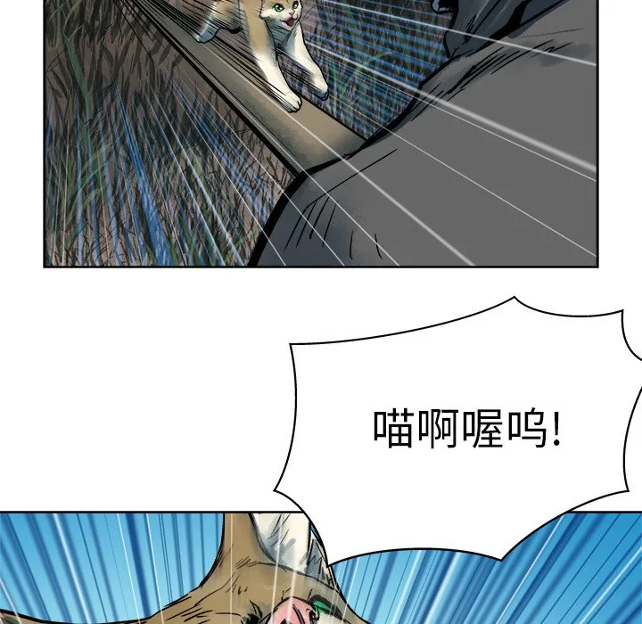 第168页