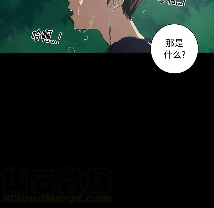 第207页