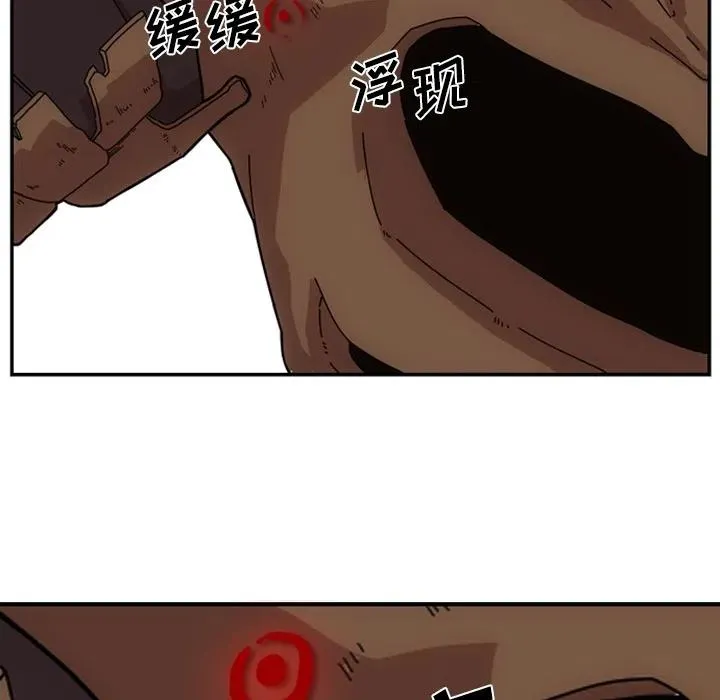 第210页