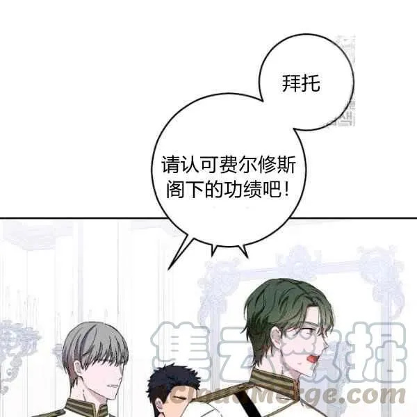 第204页