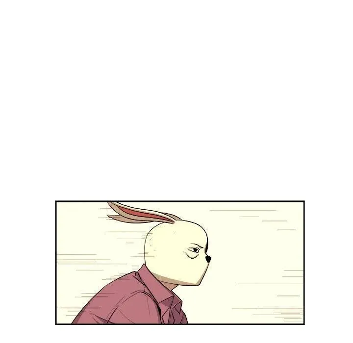第204页