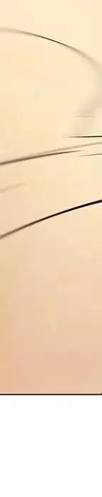 第543页