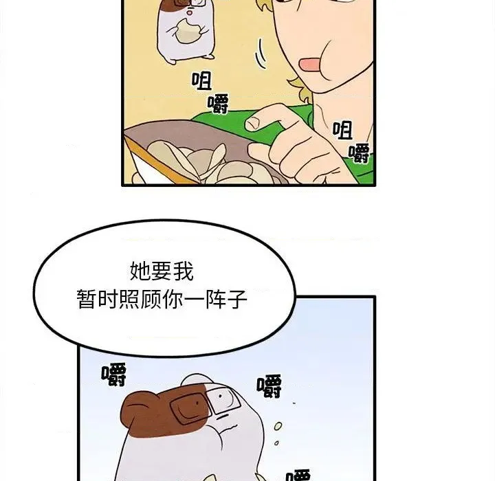 第126页