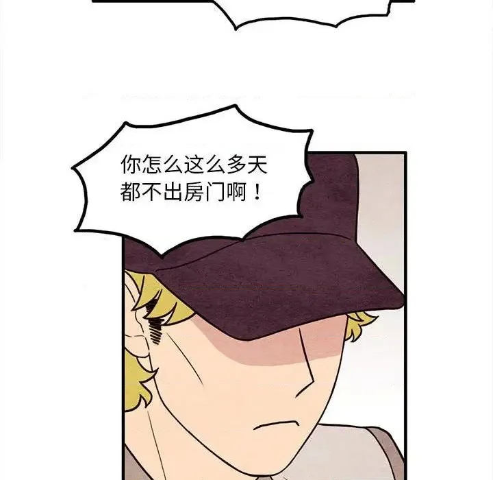 第204页