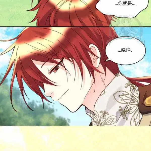 第228页