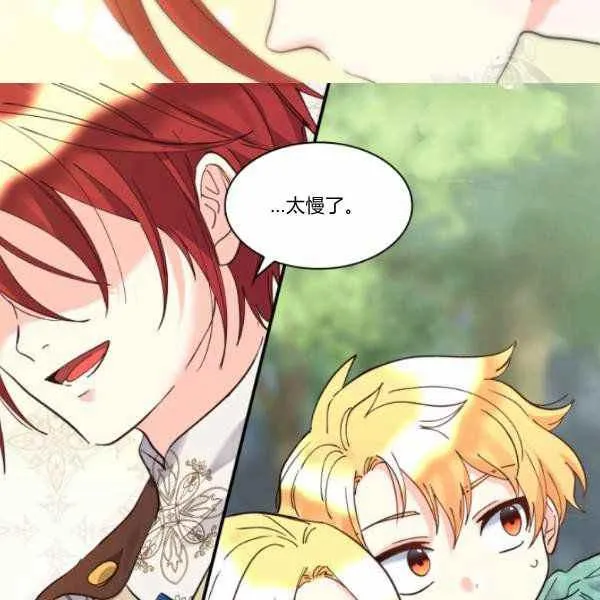 第213页