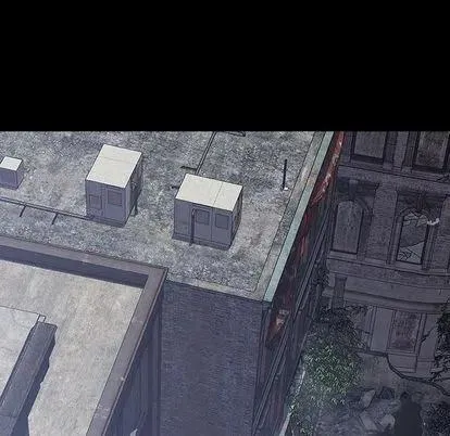 第339页