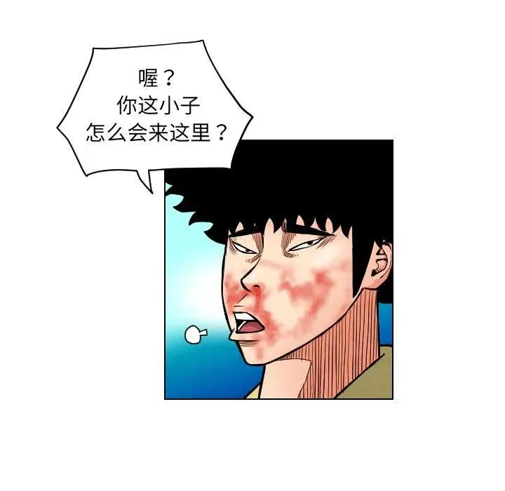 第237页