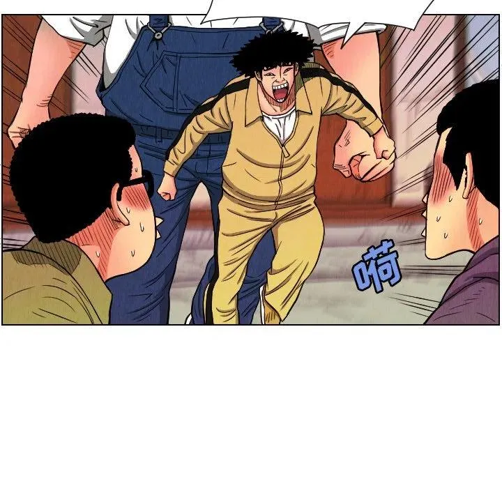 第231页