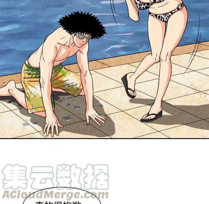 第234页