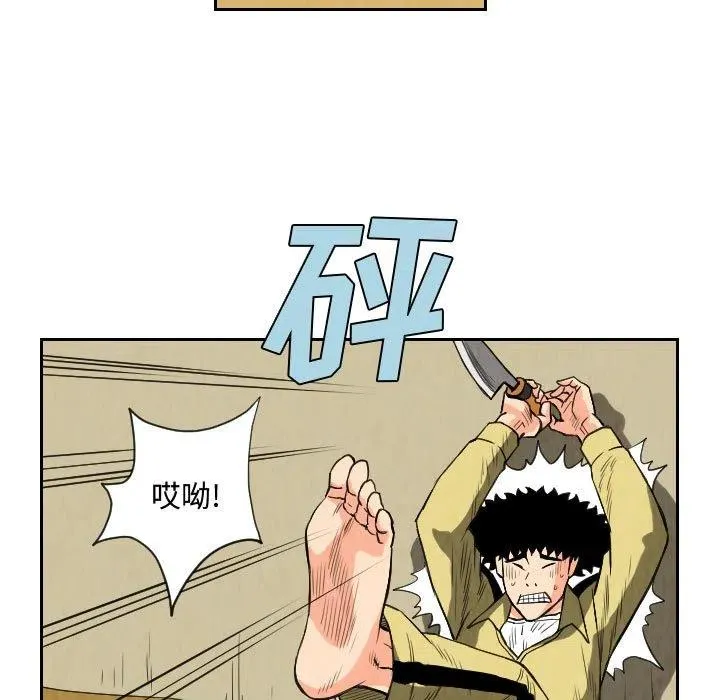第204页