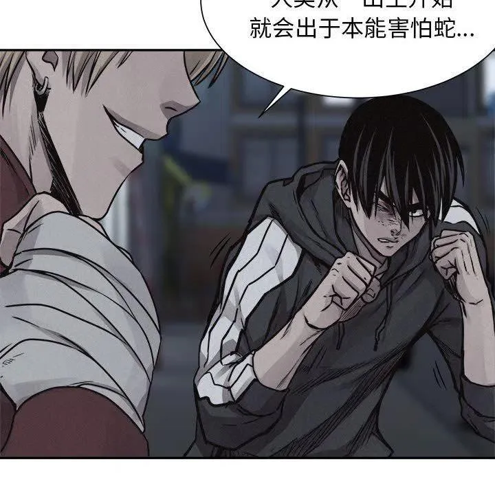 第186页