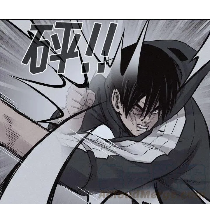 第204页