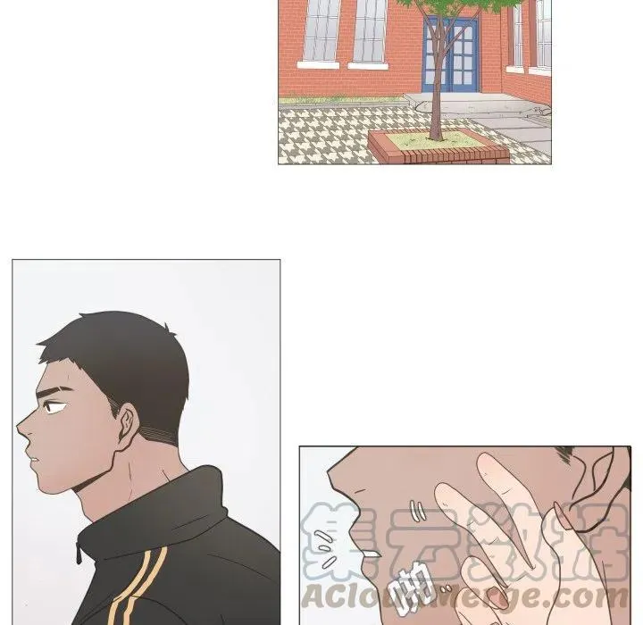 第225页