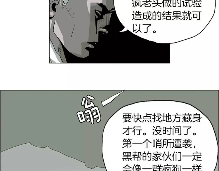 第204页