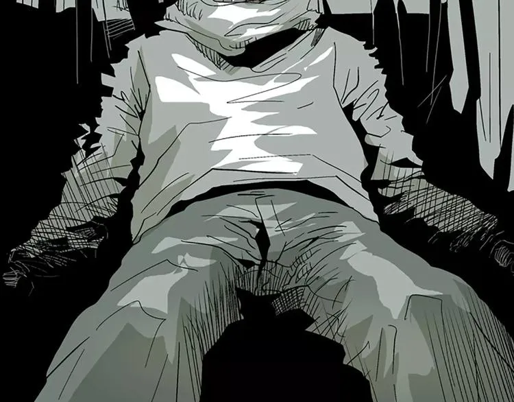 第213页