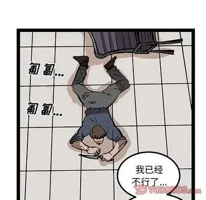 第255页