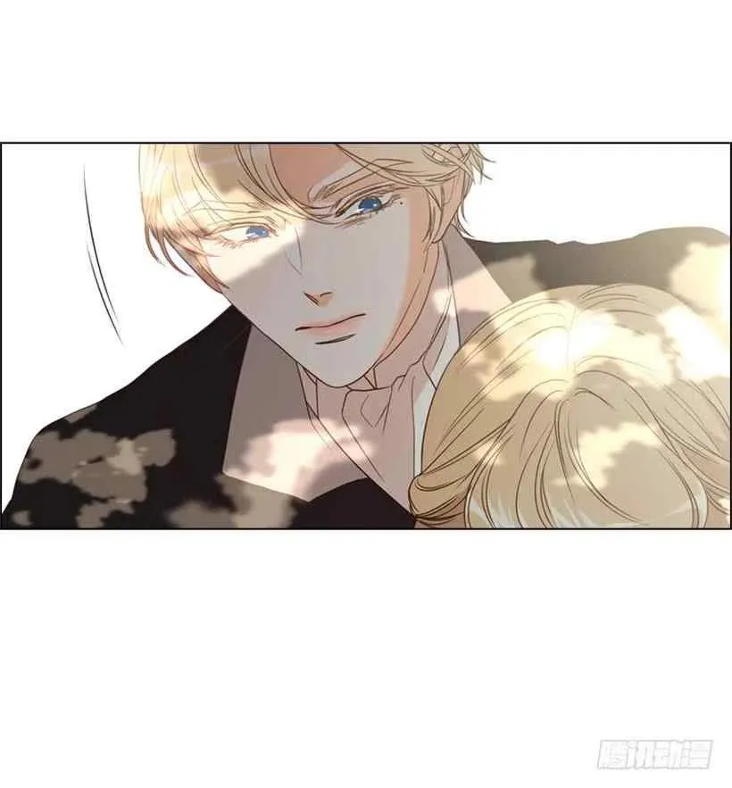 第213页