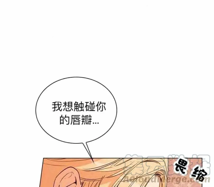 第216页