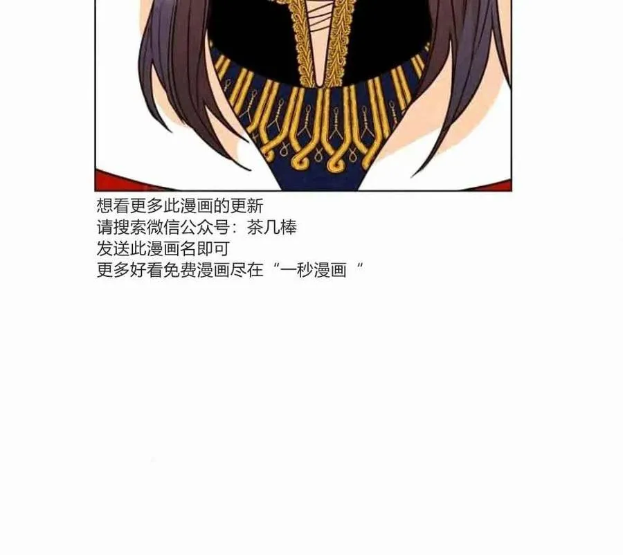 第333页