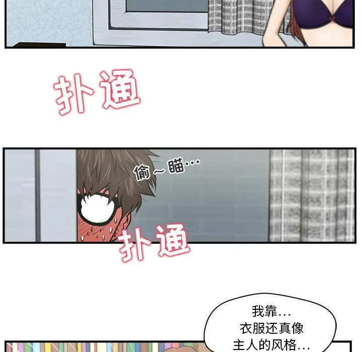 第204页