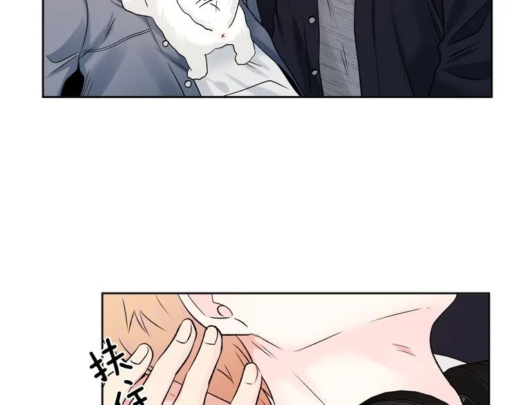 第336页