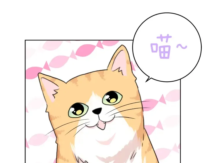 第339页