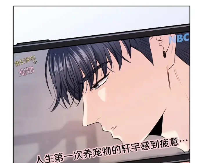 第426页