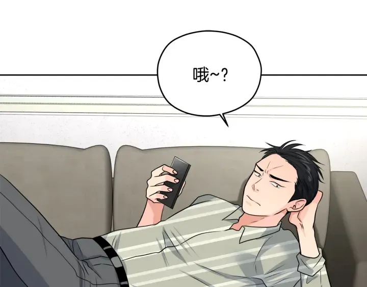 第333页