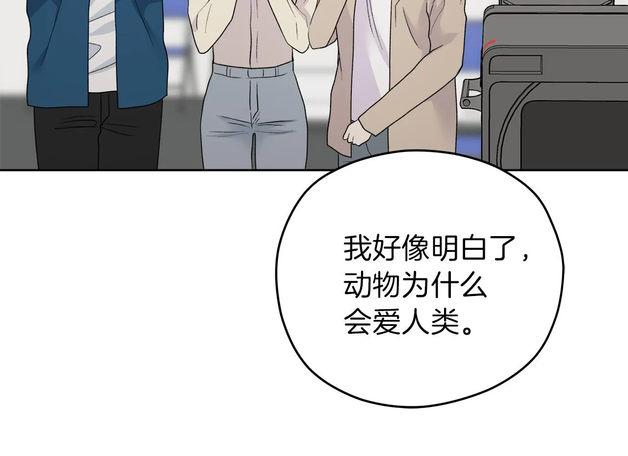 第381页