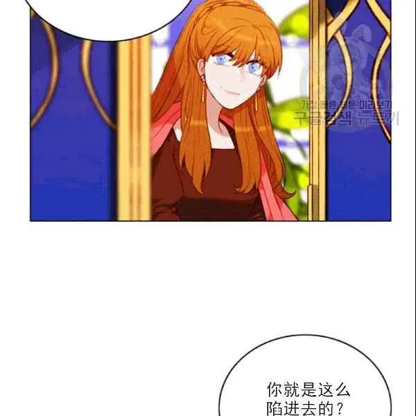 第231页