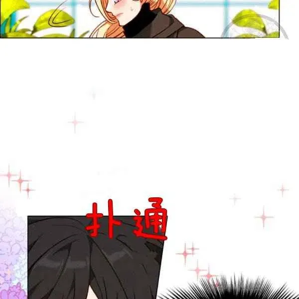 第255页