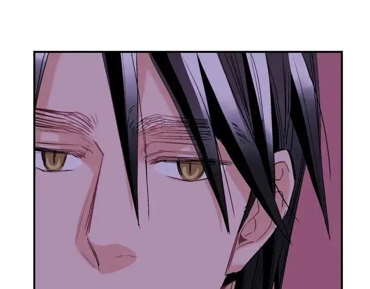 第240页