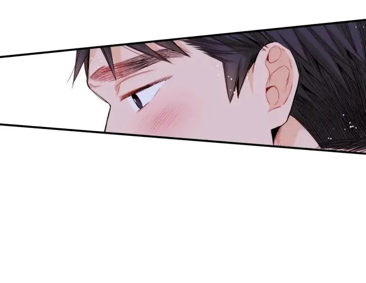 第258页