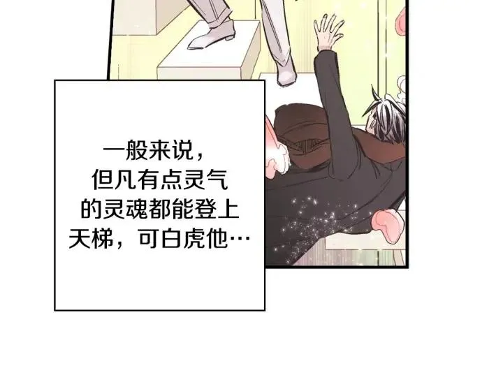 第216页