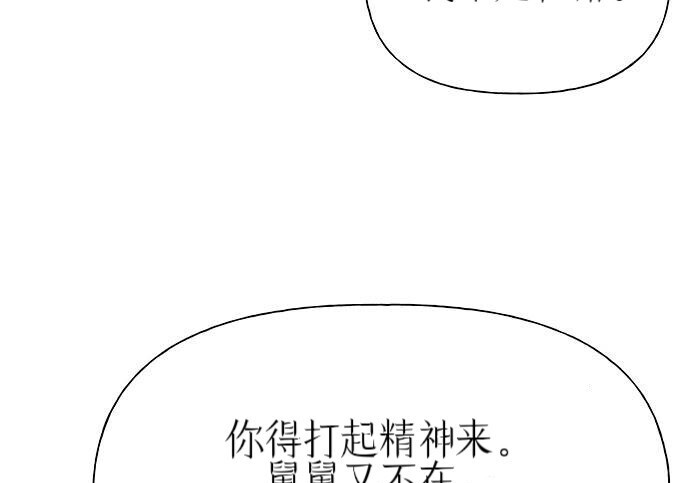 第486页