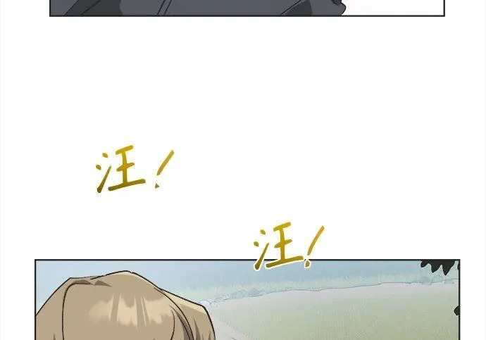 第333页