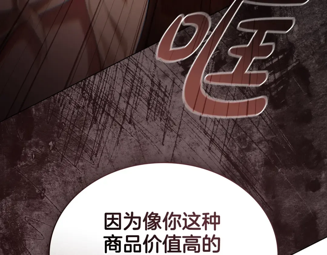 第531页