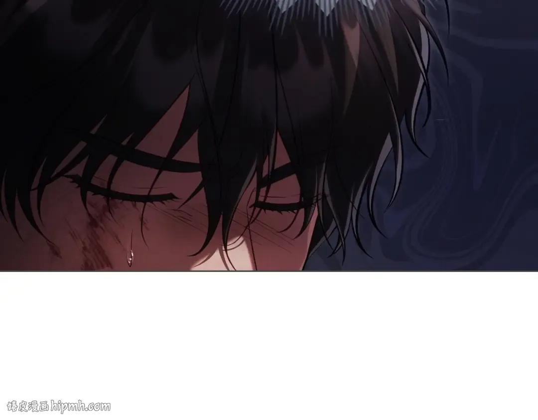 第213页
