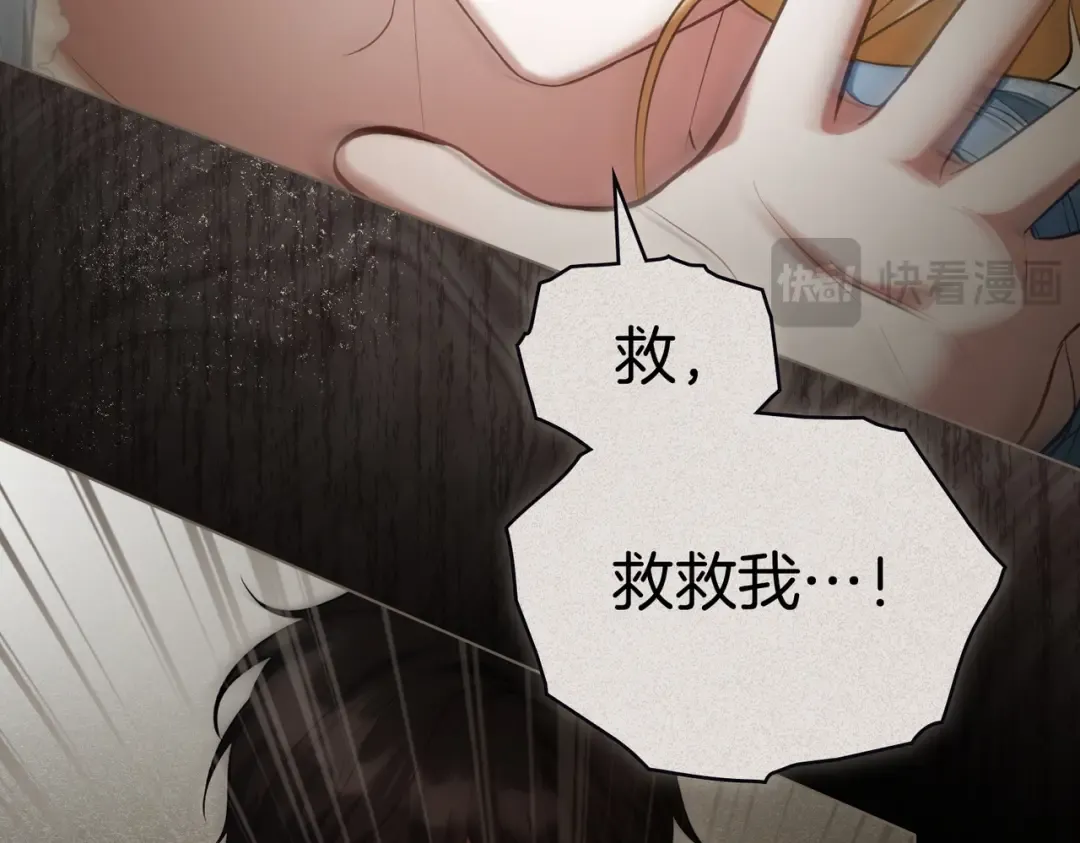 第339页