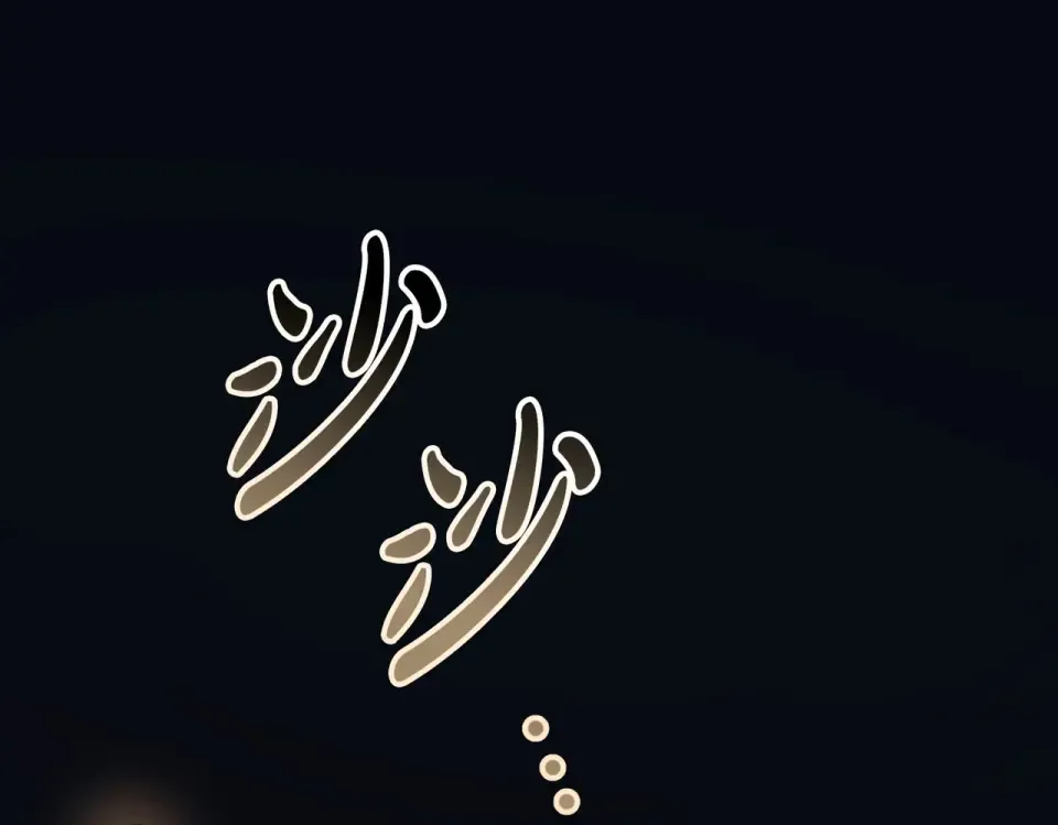 第366页
